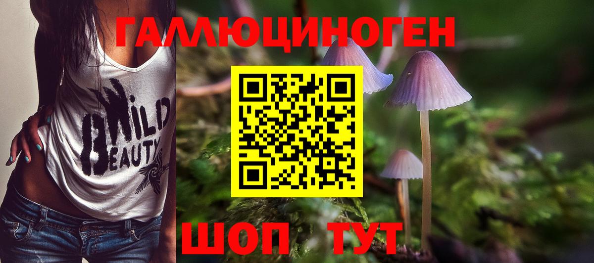Галлюциногенные грибы мухоморы Люберцы